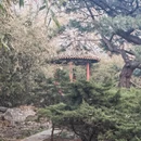 北京旅游 缩略图 7