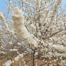北京旅游 缩略图 4