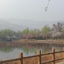北京旅游 缩略图 3