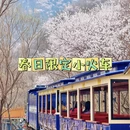 北京旅游 缩略图 1