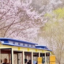 北京旅游 缩略图 2