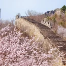北京旅游 缩略图 4