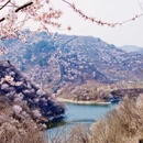 北京旅游 缩略图 3