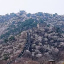 北京旅游 缩略图 6
