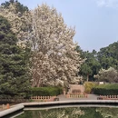 北京旅游 缩略图 6