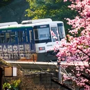 重庆旅游 缩略图 4