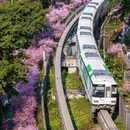 重庆旅游 缩略图 2