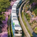 重庆旅游 缩略图 3