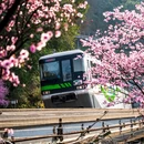 重庆旅游 缩略图 5