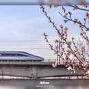 北京旅游 缩略图 2