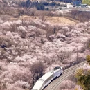 北京旅游 缩略图 1