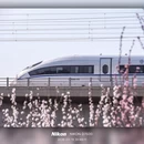 北京旅游 缩略图 4