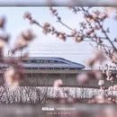 北京旅游 缩略图 1