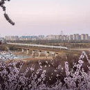 北京旅游 缩略图 2