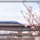 北京旅游 缩略图 6