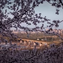 北京旅游 缩略图 3