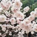 北京旅游 缩略图 9