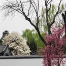 北京旅游 缩略图 6