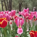 北京旅游 缩略图 5