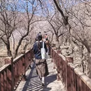 北京旅游 缩略图 2