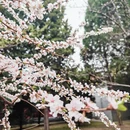 北京旅游 缩略图 14
