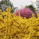 北京旅游 缩略图 12