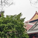 北京旅游 缩略图 16