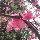 北京旅游 缩略图 7