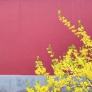 北京旅游 缩略图 18