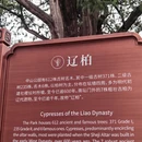 北京旅游 缩略图 15