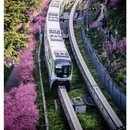 重庆旅游 缩略图 1