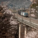 北京旅游 缩略图 1