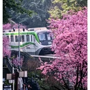 重庆旅游 缩略图 2