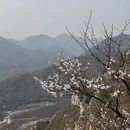北京旅游 缩略图 2