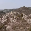 北京旅游 缩略图 8