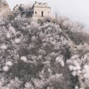 北京旅游 缩略图 2