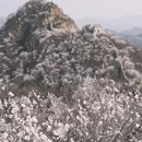 北京旅游 缩略图 1
