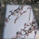 北京旅游 缩略图 10