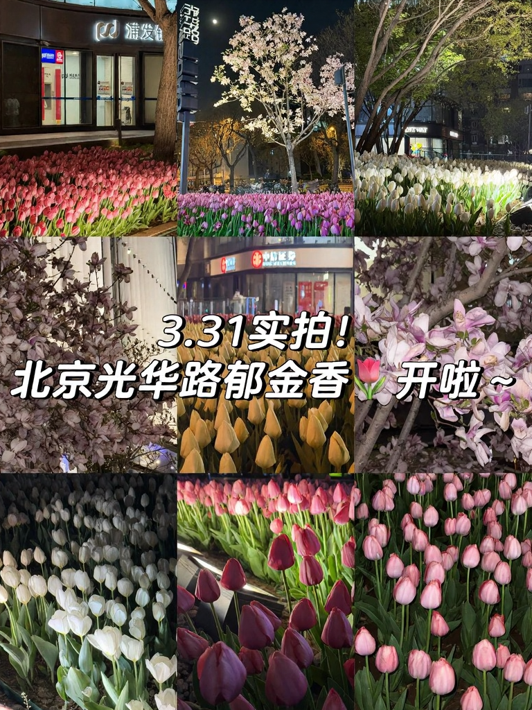 北京旅游