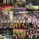 北京旅游 缩略图 1