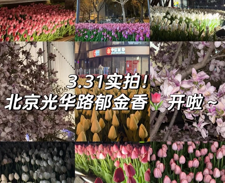 北京旅游 1