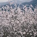 北京旅游 缩略图 9