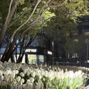 北京旅游 缩略图 3