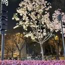 北京旅游 缩略图 10