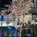 北京旅游 缩略图 11