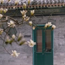 北京旅游 缩略图 4