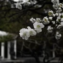 北京旅游 缩略图 6