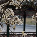 北京旅游 缩略图 3