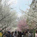 北京旅游 缩略图 7