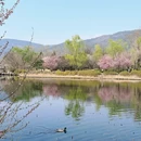 北京旅游 缩略图 3